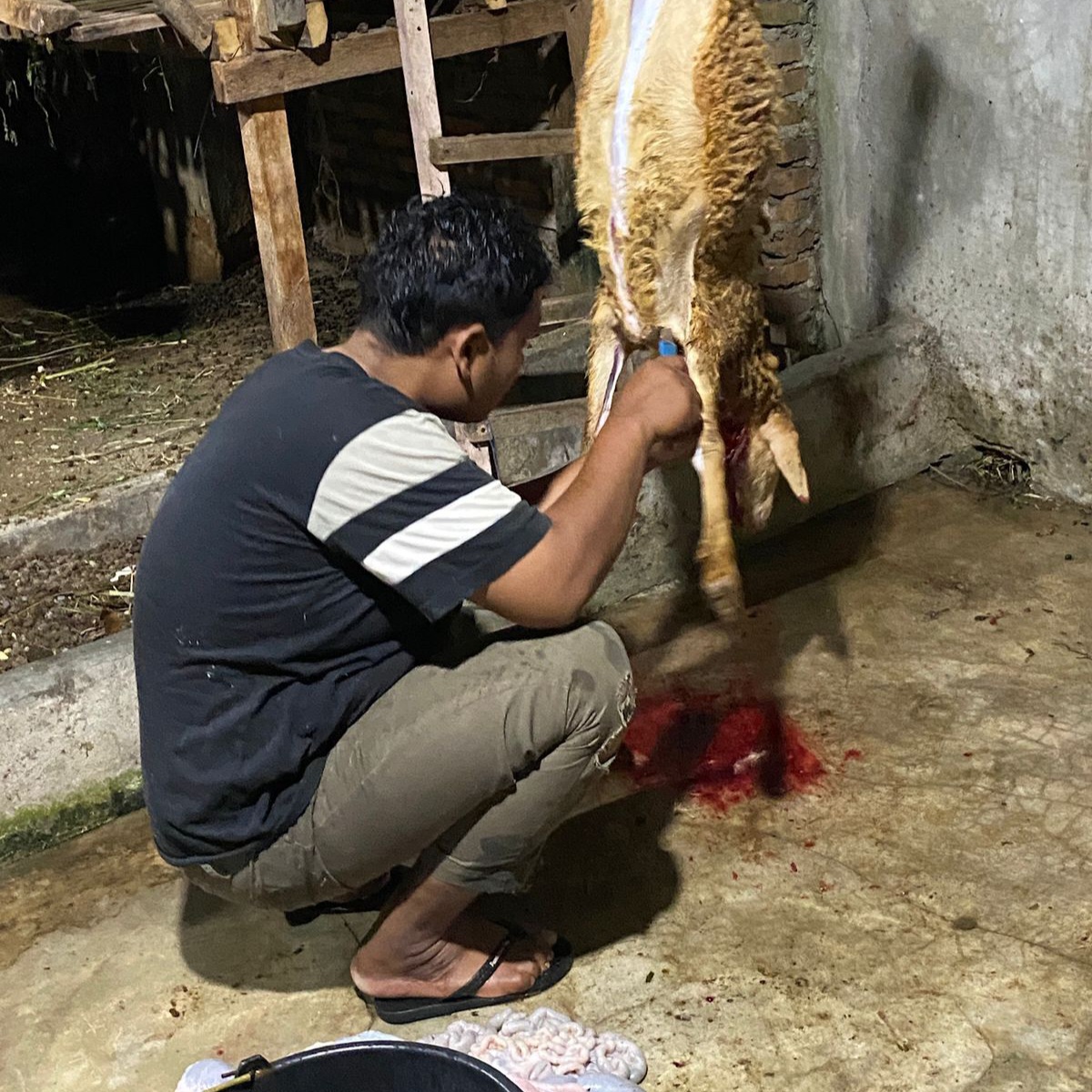 Proses pemotongan dilakukan sesuai syariat Islam